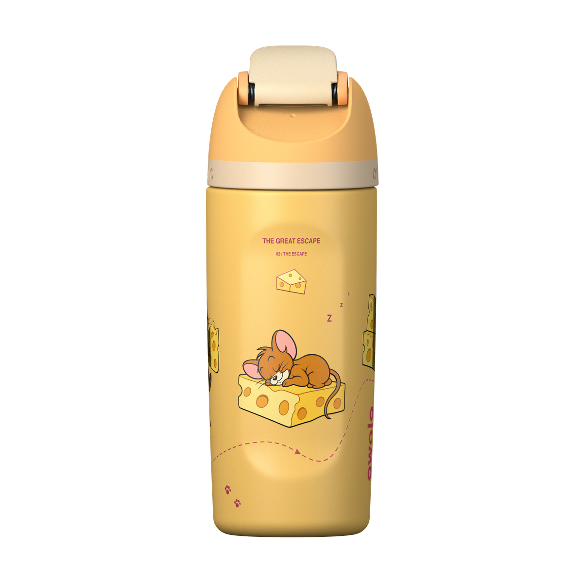 Tom & Jerry Custom Edition Insulated Water Bottle with Straw