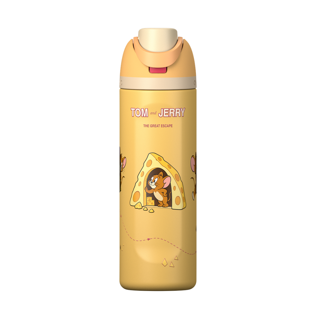 Tom & Jerry Custom Edition Insulated Water Bottle with Straw