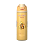 Tom & Jerry Custom Edition Insulated Water Bottle with Straw