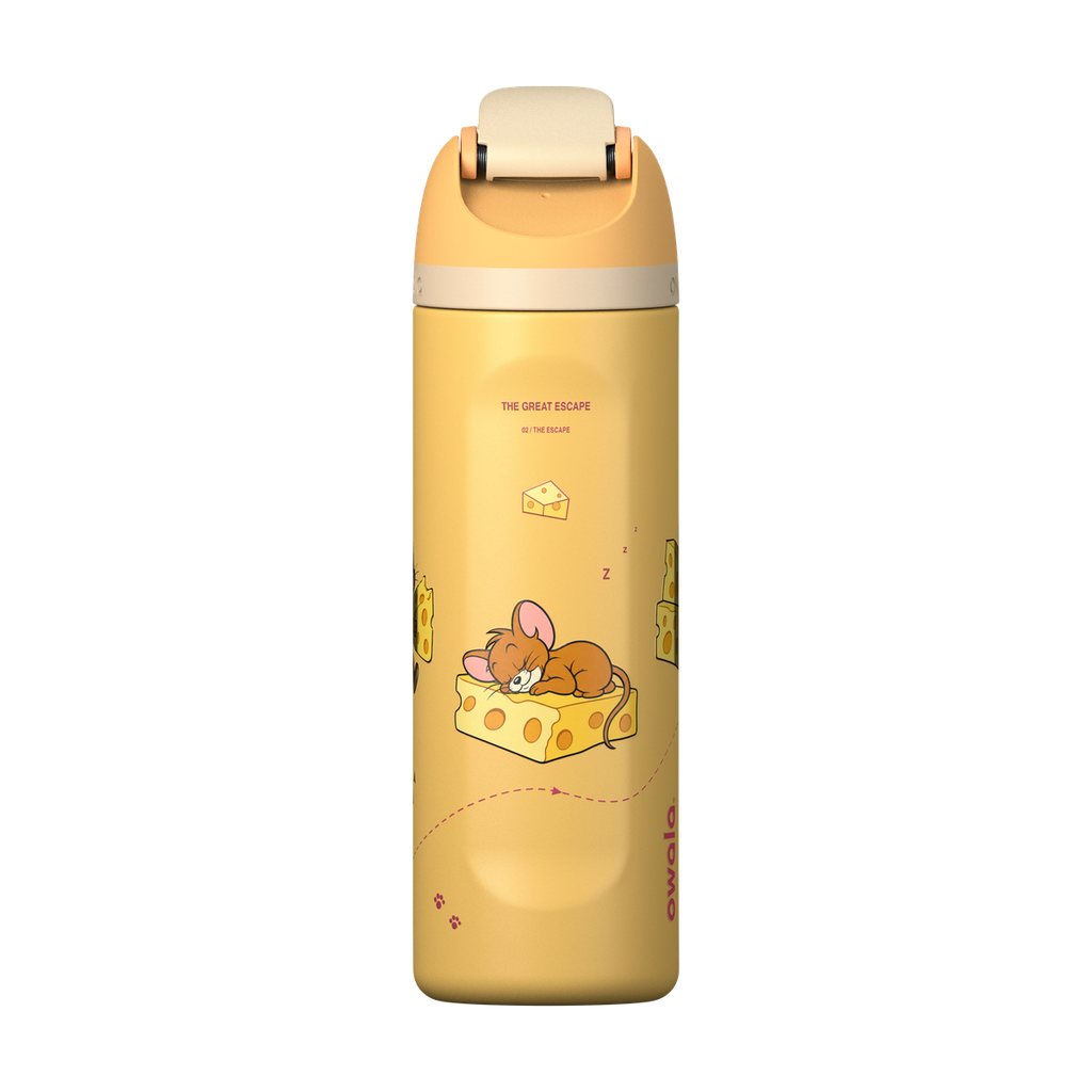 Tom & Jerry Custom Edition Insulated Water Bottle with Straw